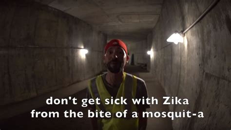 ‘yo Dont Get Sick With Zika Biologist Battles Mosquitoes Through