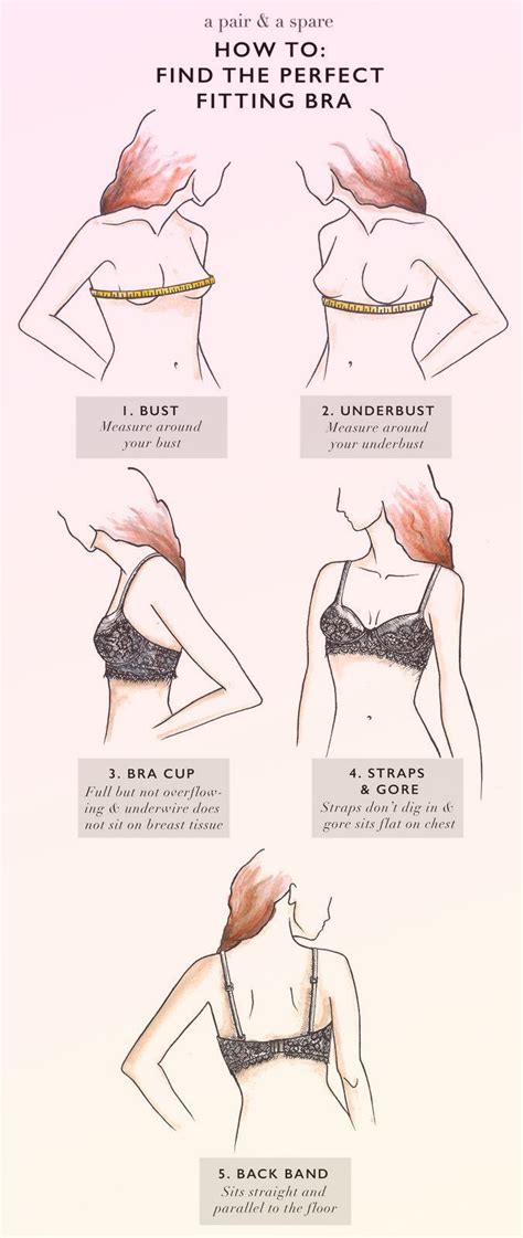The Bra Series How To Find The Perfect Fit Check More At Https Perfect Life Style Xn Kyl
