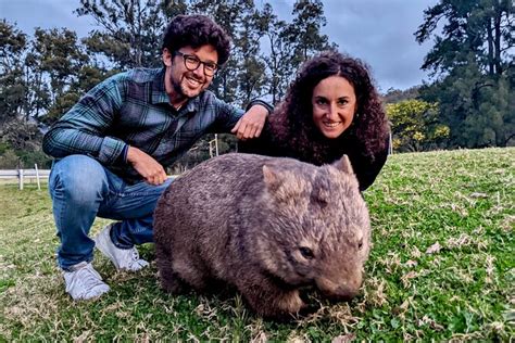 Sydney Small Group Wild Wombat And Kangaroo Tour 2024