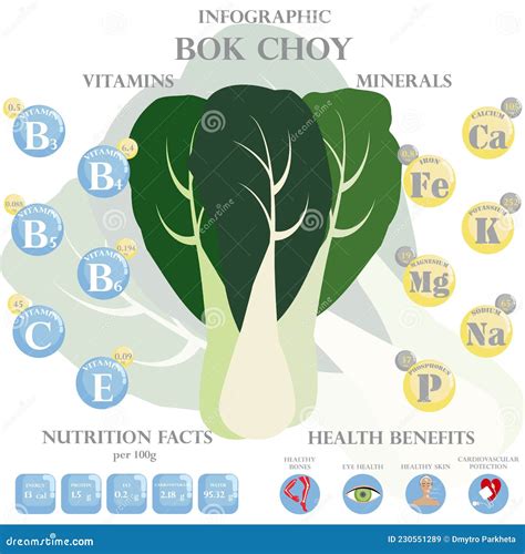 Bok Choy Nutrient Of Facts And Health Benefits Info Graphic Vector