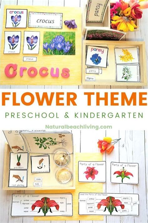 These Flower Theme Preschool And Kindergarten Activities Are Perfect