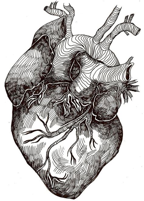 Heart By Clarabacou Drawing Art Traditionalart Pretty Beautiful