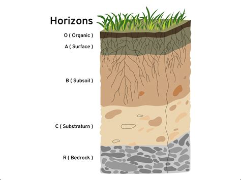 We then finish the statement by closing it with a semicolon. Q7 Sketch the cross section of soil and label the various ...