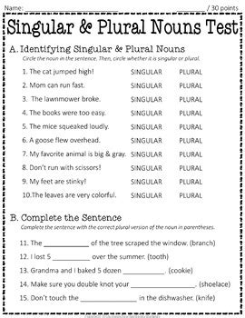 singular plural nouns test  page quiz  answer key