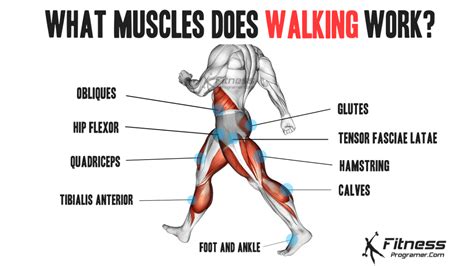 Benefits Of Walking Steps To Success Workout Planner