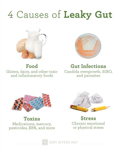 9 Symptoms Of Leaky Gut And What To Do Amy Myers Md