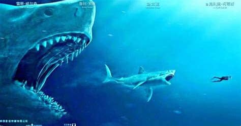 Шуя софиа цай, оулавюр дарри оулафссон, руби роуз и др. Does The Megalodon Exist? And 3 Other Shark Myths You ...