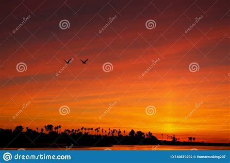 Sunset Mission Bay San Diego California Stock Photo Image Of Ocean