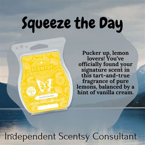 Squeeze The Day Scentsy Bar Scentsy Online Store
