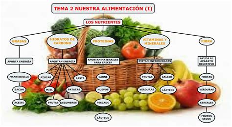 Mapa Conceptual De Nutricion Y Alimentacion Images