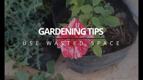 Gardening On Small Space Gardening Tips Youtube