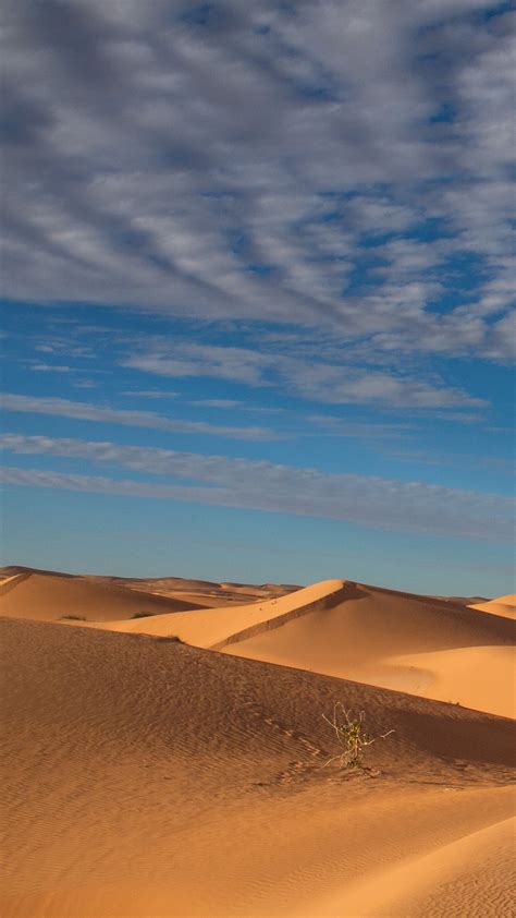 Late Afternoon Landscape Of Sahara Desert Dunes Chinguetti Adrar