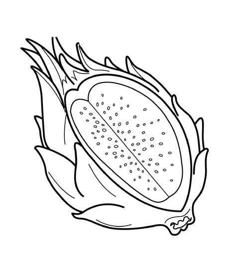 Dragon Fruit Coloring Pages For Kids #9D : Printable Fruits Coloring