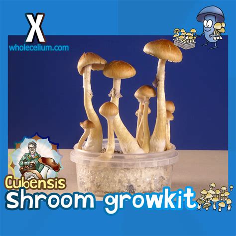 Magic Mushroom Grow Kits Magic Truffles Magic Mushrooms Grow Kits