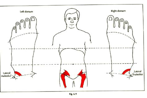 Foot Reflexology Points Important Learn Self Healing Techniques Online
