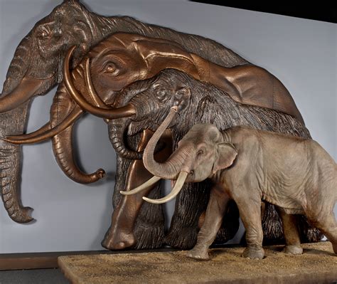 Mammoths And Mastodons Titans Of The Ice Age