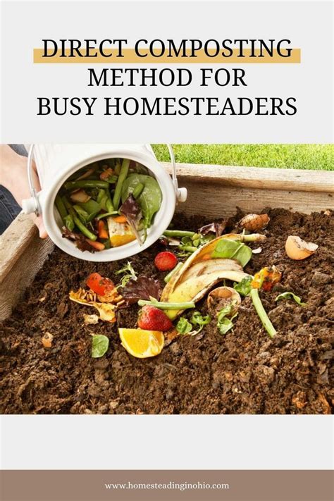 Direct Composting Method For Busy Homesteaders For Beginners Composting