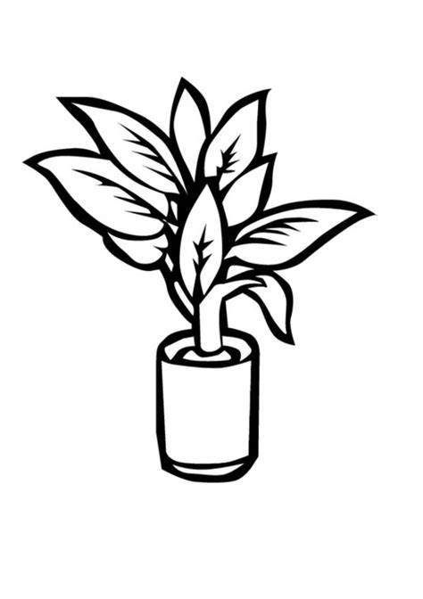 Plants In Little Vase Coloring Page : Coloring Sky