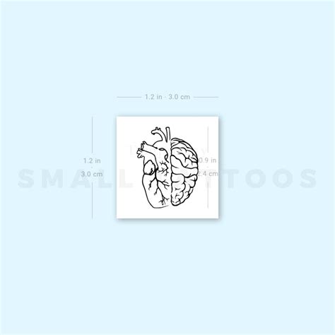 Brain And Anatomical Heart Outline Temporary Tattoo Small Tattoos