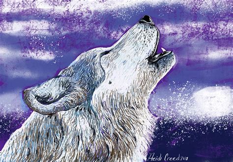 Singing Wolf Pastel By Heidi Creed Fine Art America