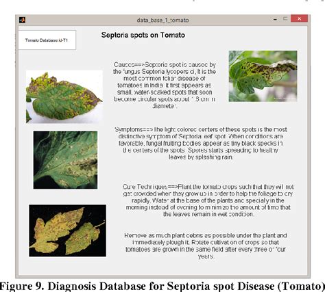 Discoloured foliage may appear on only one or two branches, which then begin to die back. Plant Leaf Disease Detection and Classification Using ...