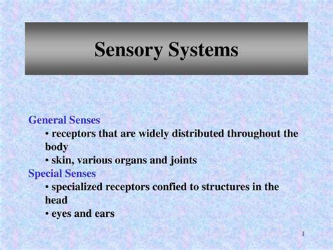 Sensory Systems General Senses Ppt Download