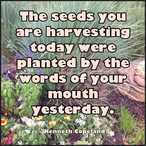 “the Seeds You Are Harvesting Today Were Planted By The Words Of Your