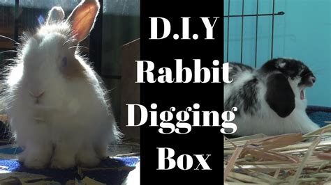 Diy Rabbit Digging Box Youtube