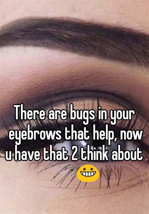 There Are Bugs In Your Eyebrows That Help Now U Have That 2 Think About 😀