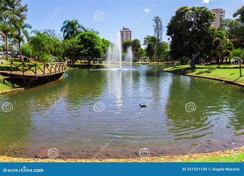 parque ambiental do ipiranga em anapolis editorial stock image image of ecology park 251321139