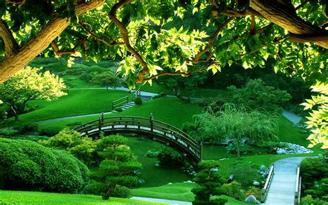 Green Garden 1801609 Beautiful Nature Pictures Japanese Garden
