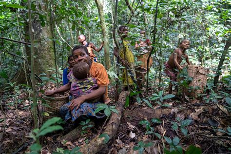 Mbuti Congos Last Forest Pygmies Persist Despite Violence And Loss