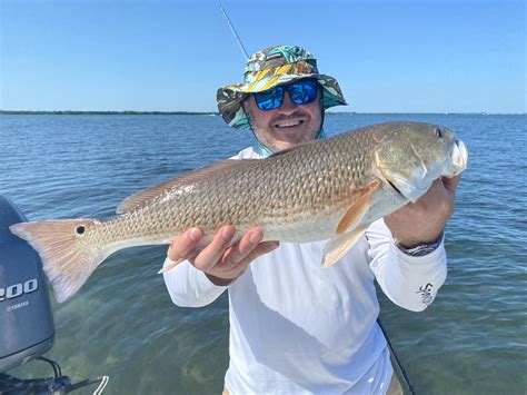Silver Kings Return Inshore Trio — Snook Redfish And Trout Still