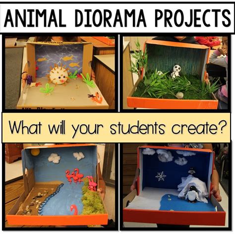 animal habitat diorama 2nd grade - vanheusenwomenspants