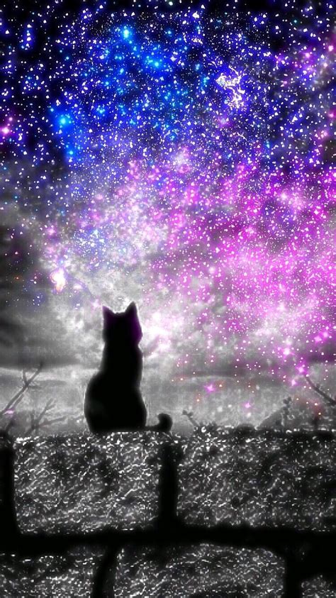 Galaxy Cat Desktop Wallpapers Top Free Galaxy Cat Desktop Backgrounds