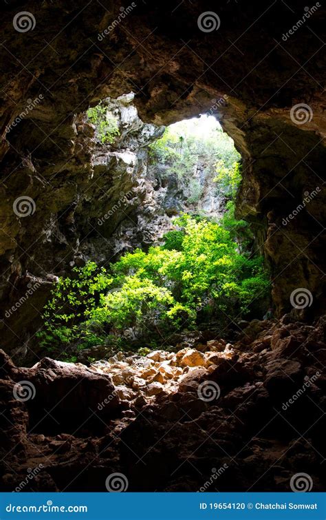 Cave Covered With Trees Stock Photo Image Of Ecology 19654120