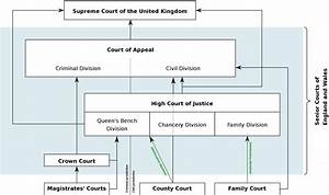 Us Court System Diagram