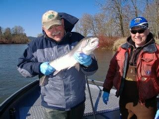 Cowlitz River Chehalis River Winter Steelhead Fishing Guide Report – 2