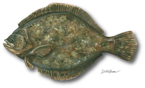 Southern Flounder Painting By Don Mcqueen Fine Art America