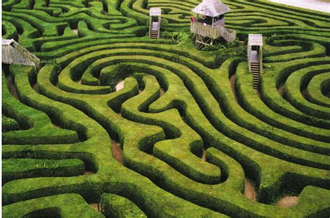 Behaviour In The Maze Upsurges Of The Real A Performance Research Blog
