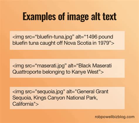 Image Alt Text 7 Tips For Writing Better Image Alt Tags