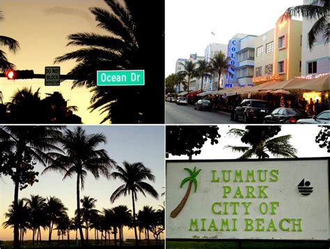 Viajar A Miami De Turismo Ocean Drive Lummus Park Miami Heat Park City Light Box Desktop