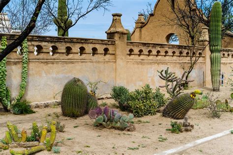 Mission San Xavier Garden 1 Jack Mcgaugh Flickr