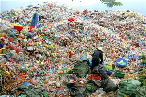 Aggregate More Than 155 Plastic Bags Litter The Landscape Latest