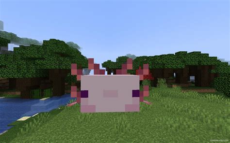 Minecraft Axolotl Mod
