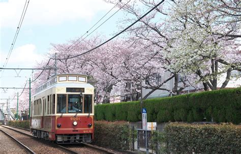 ชมวิวด้วยรถรางใน 5 เมืองสวยของญี่ปุ่น | All About Japan