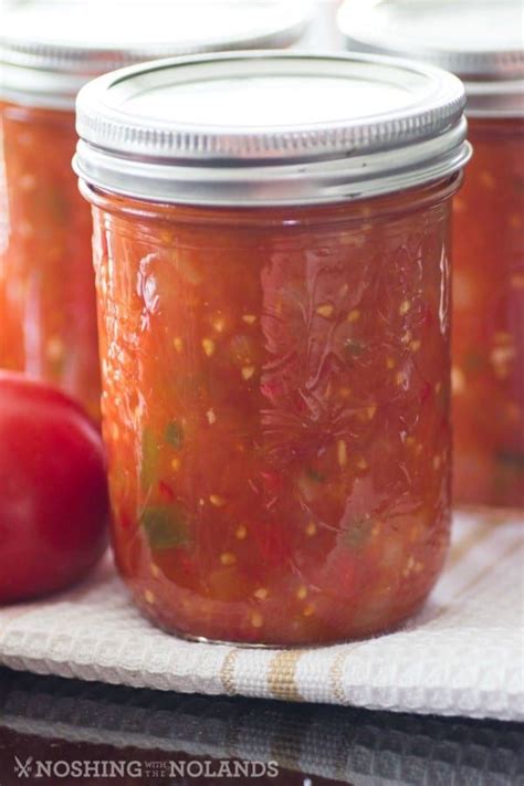 homemade canned tomato salsa     fresh summer produce salsa homemade tomato