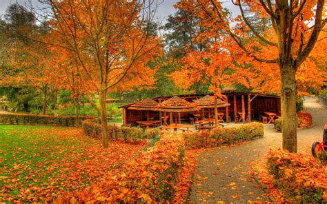 Landscapes Autumn Fall Color Wallpaper 1920x1200