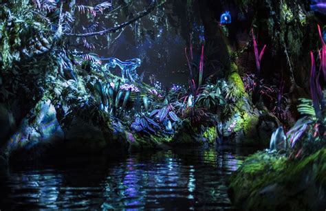 Explore A Bioluminescent Rainforest On The Navi River Journey What