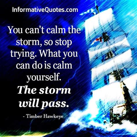 You Cant Calm The Storm So Stop Trying Informative Quotes